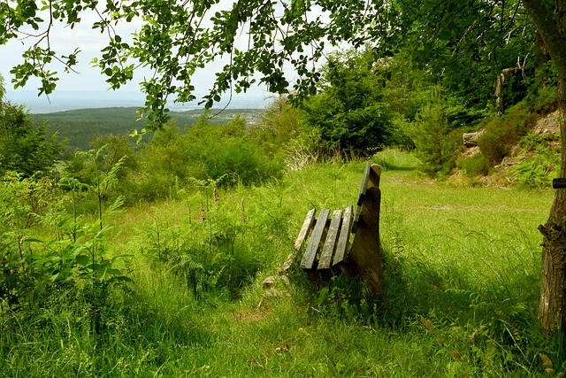 充分利用了 充分利用了