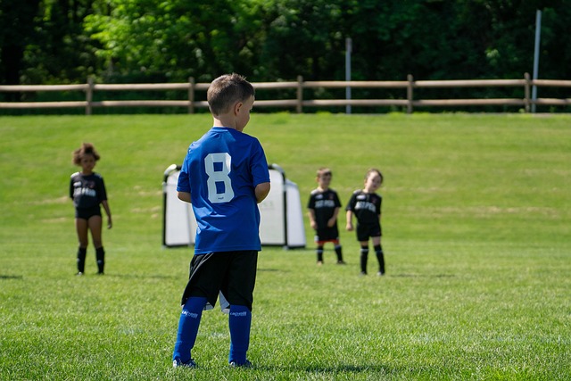 将成为广东 将成为广东