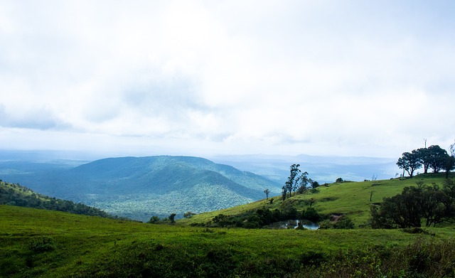 但他的团队 但他的团队