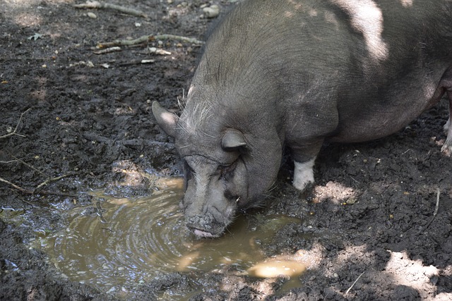 助攻隊友完 助攻隊友完