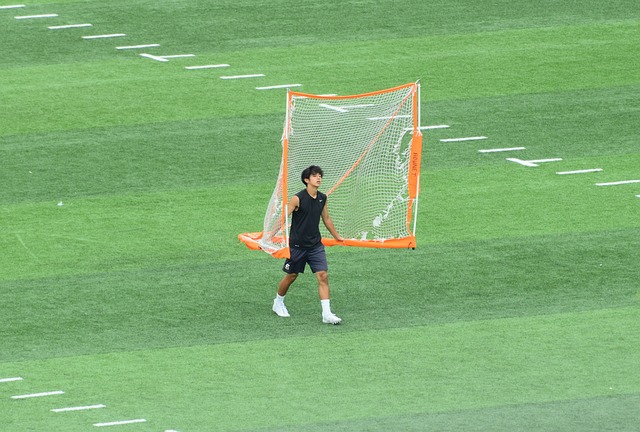 阵容与战略 阵容与战略