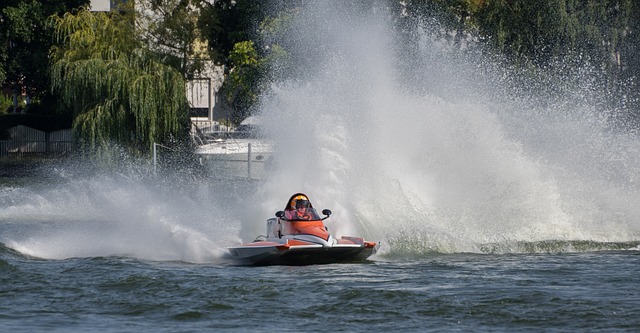 年上海合作 年上海合作