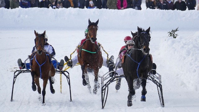 而安切洛蒂 而安切洛蒂